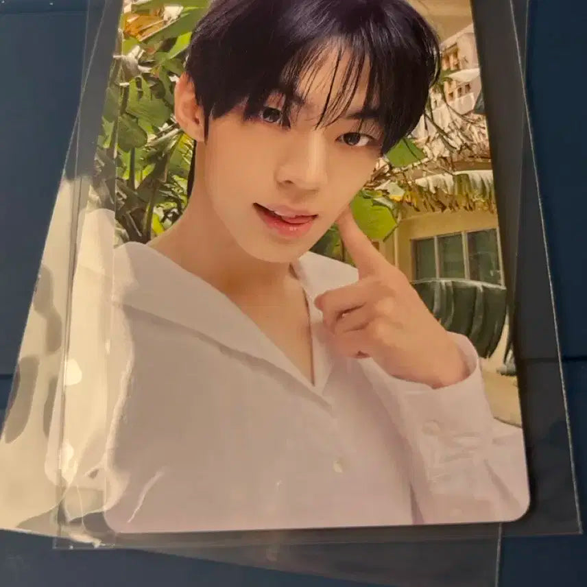 투어스 도훈 팝업 럭키드로우 하지메마시떼 일본 포토카드 데뷔포카 TWS