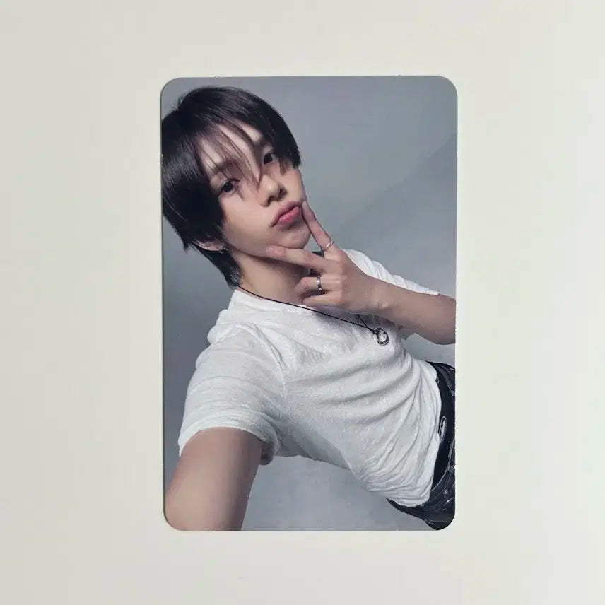 쇼타로 타겟 포카