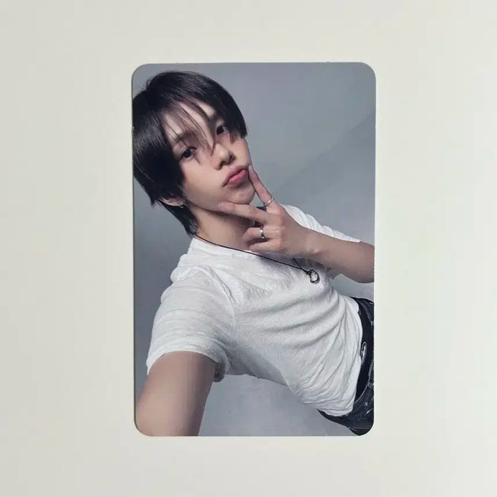 쇼타로 타겟 포카