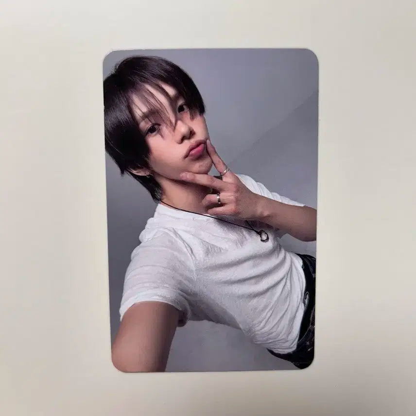 쇼타로 타겟 포카