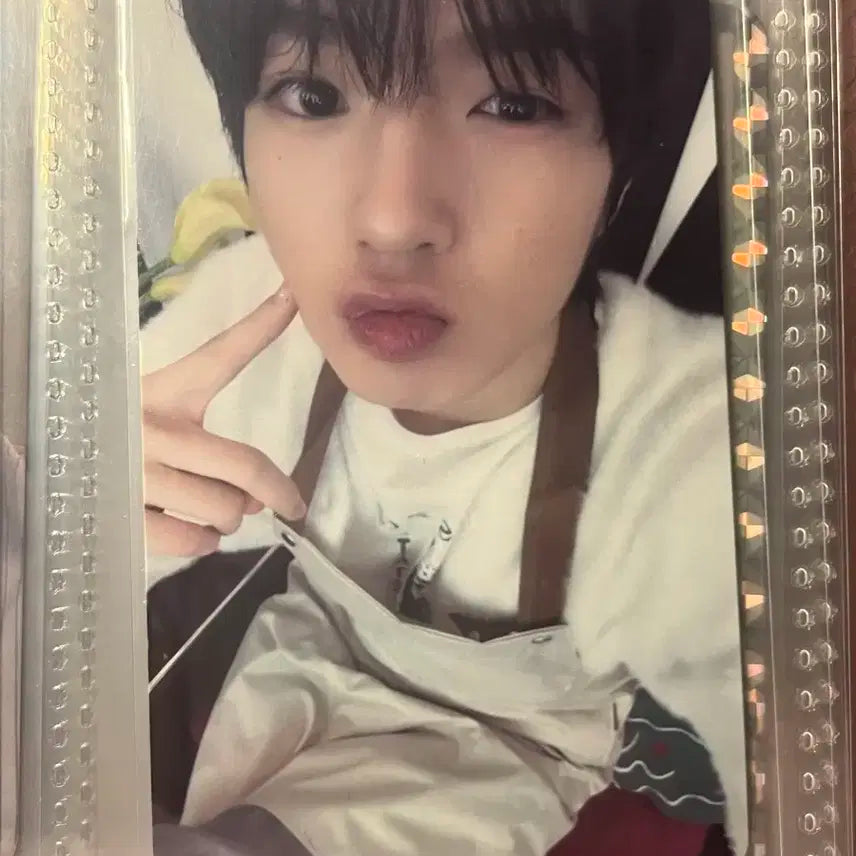 엔시티위시 사쿠야 스테디 kms 카페 포카 팬싸