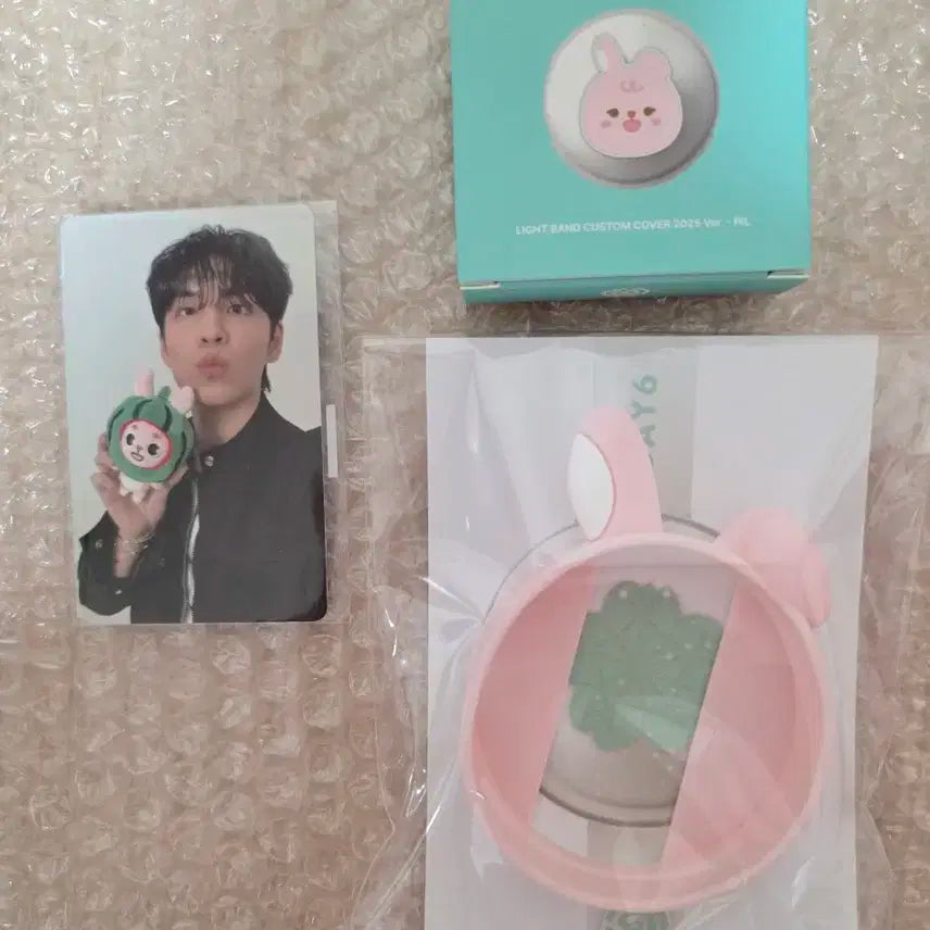 [일괄] 데이식스 커스텀 커버 쁘띠멀즈 필