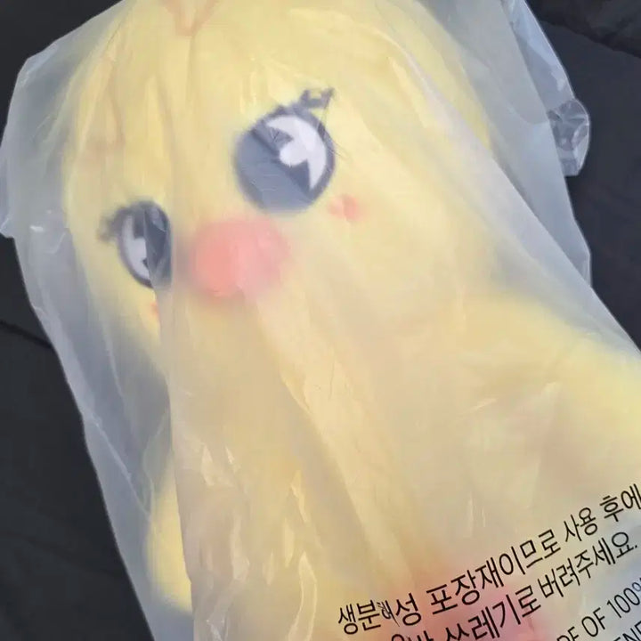 스트레이키즈 스키주 뽁아리 테디베어