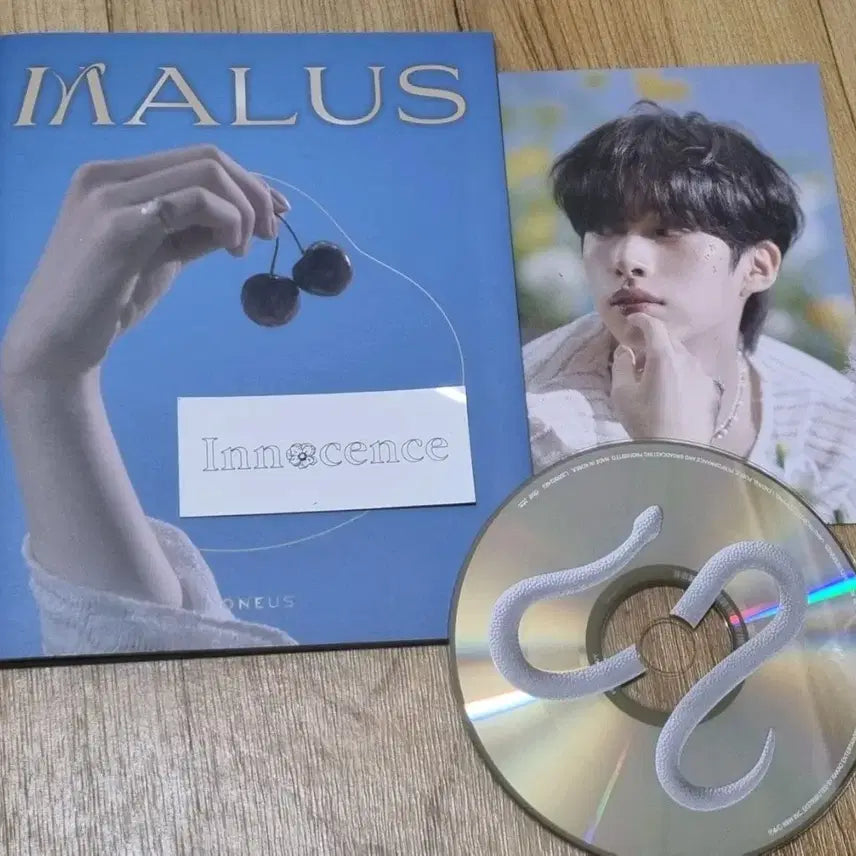 원어스 시온 MALUS 앨범