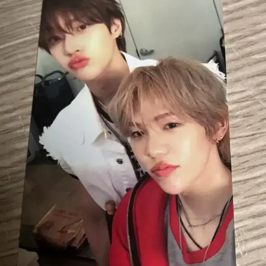 자석즈 원빈, 쇼타로 오디세이 포토카드