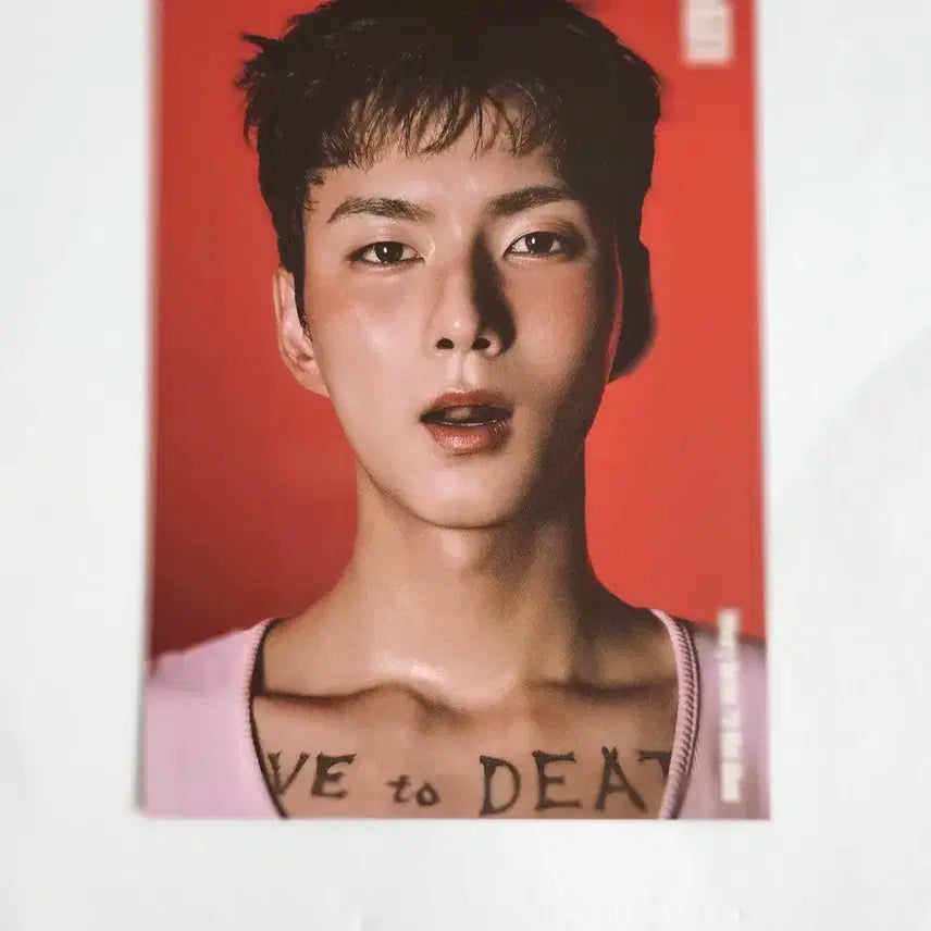 엑디즈 오드 포스트카드 엽서