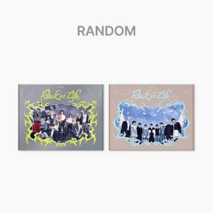 앤팀 미개봉 back to life 앨범