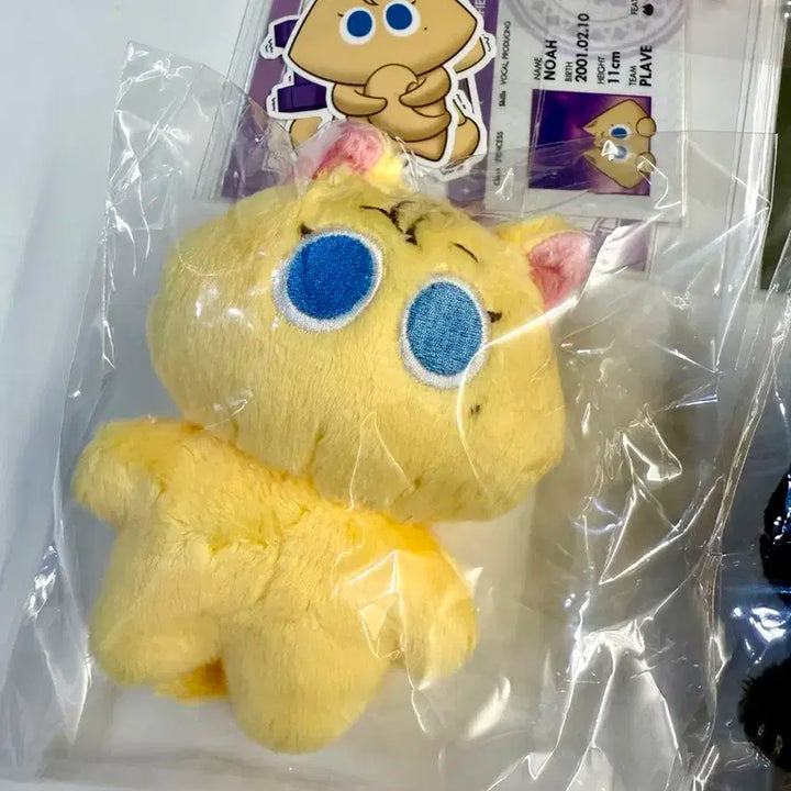 플레이브 비공식 솜인형 노치 노아 깜새 하민 일괄 양도합니다!