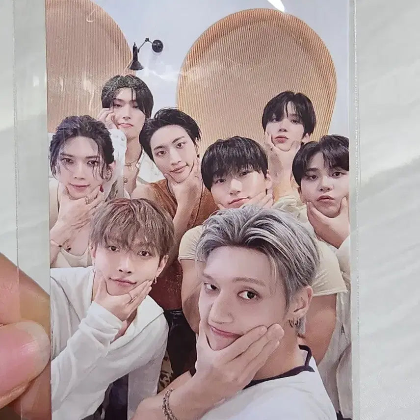 에잇룸 러그 포카