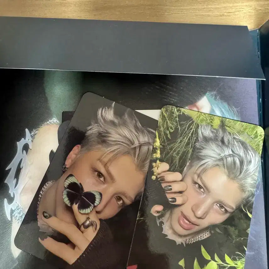 앤팀 마키 개봉앨범