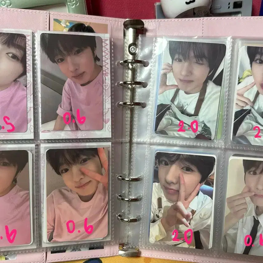 엔시티위시 사쿠야 포카