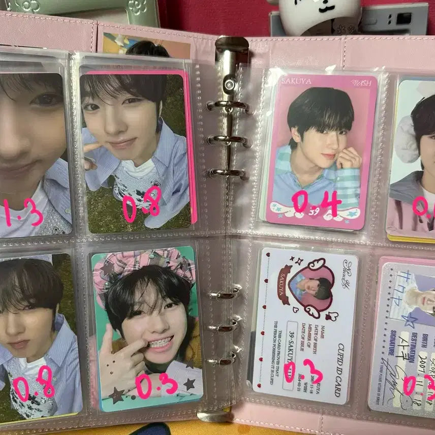 엔시티위시 사쿠야 포카