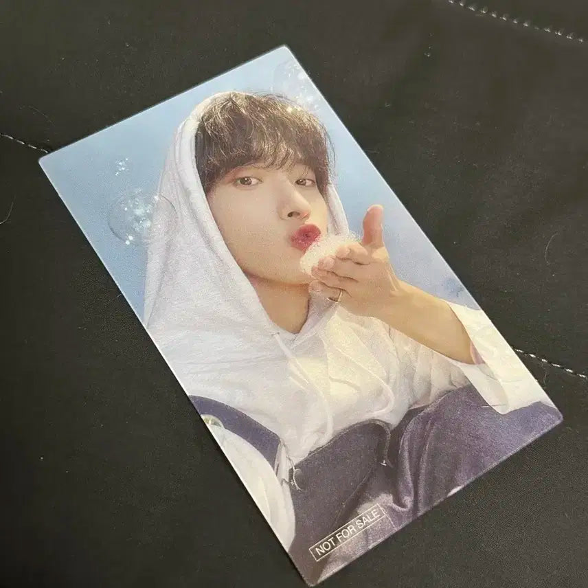 세븐틴 도겸 일본 특전 포카 양도