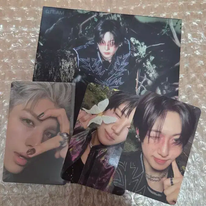 앤팀 roar버전 앨범