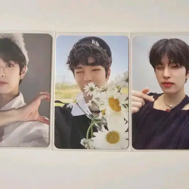 스트레이키즈 스키즈 맥시던트 앨범포카 김승민 승민 포카