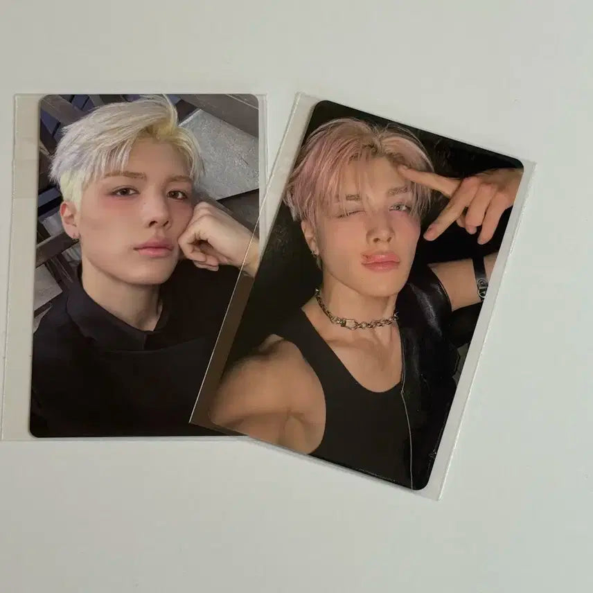 앤팀 백투라이프 마키 위버스 특전 포카