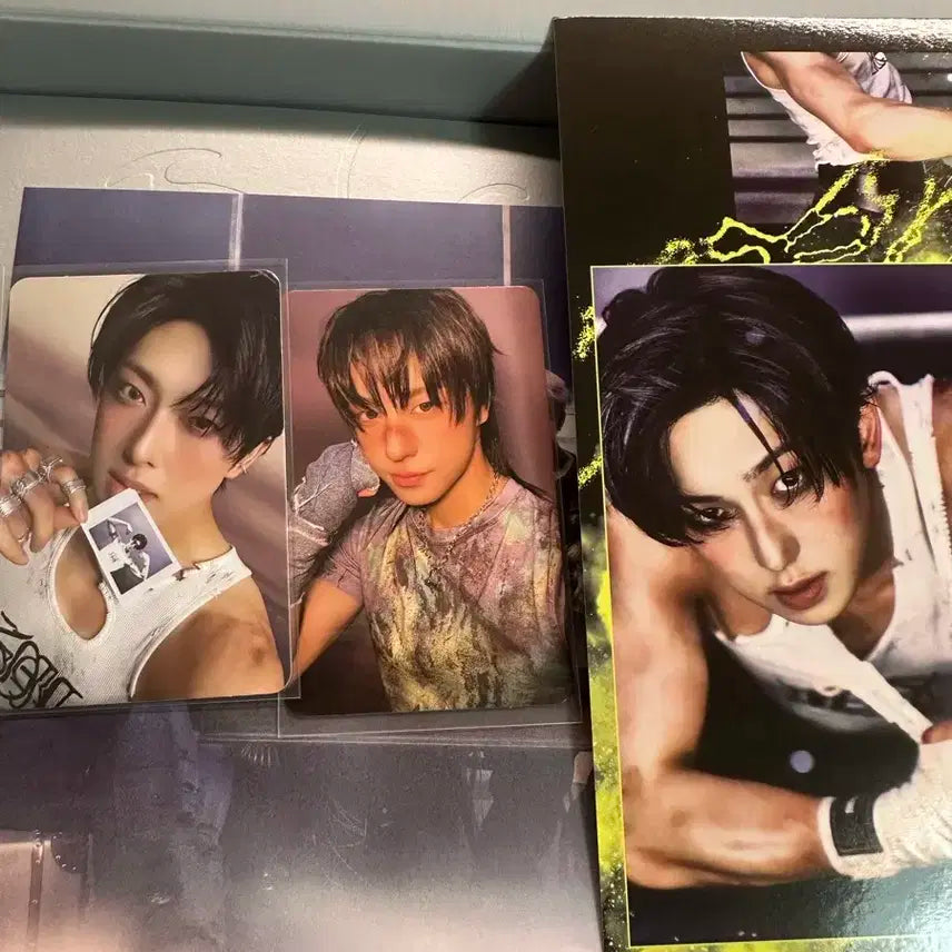 앤팀 백투라이프 앨범 포카