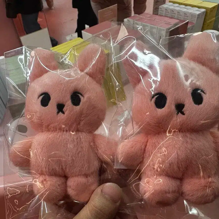 버이오던스 도영 인형 키링 판매합니다