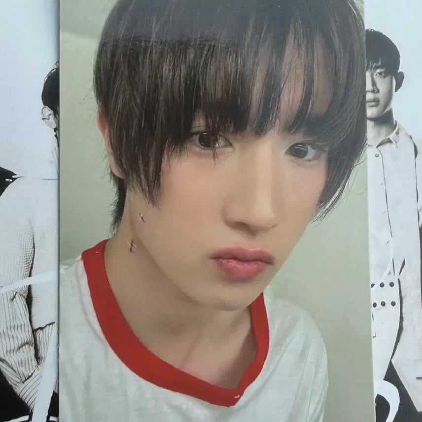 템페스트 공방포카 양도