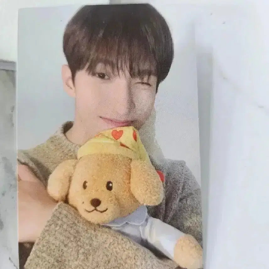 새상품) 세븐틴 아티스트메이드 컬렉션 인형 판매합니다