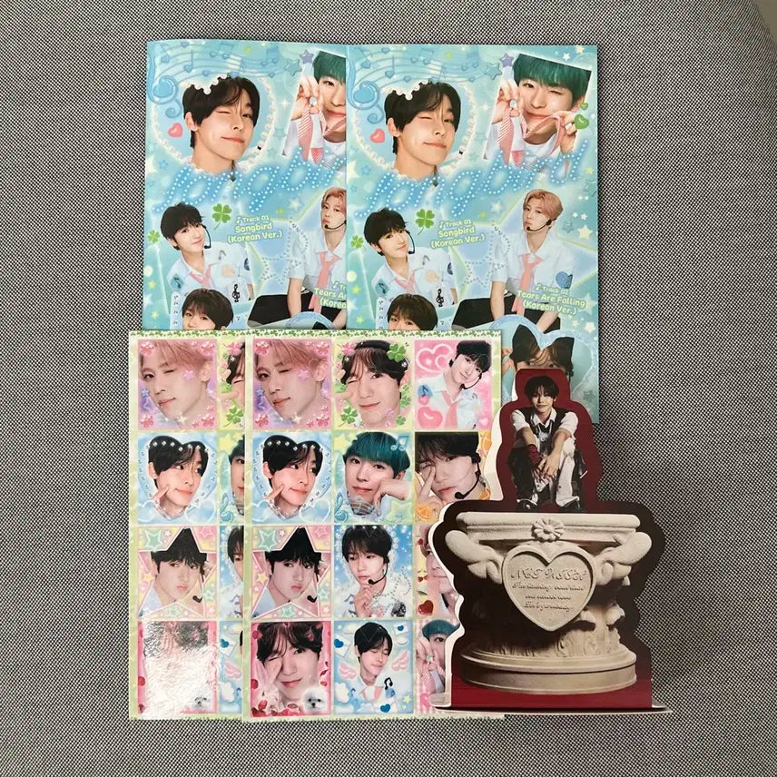 NCT WISH 엔시티 위시 엔위시 송버드 스테디 스티커 포카 굿즈