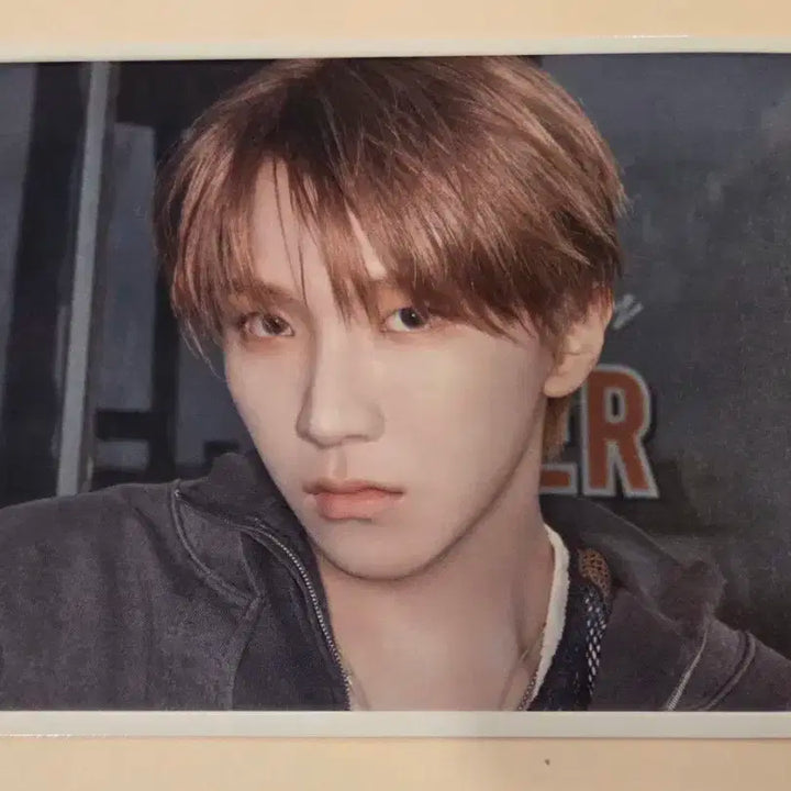 보넥도 이디야 엽서 6종 일괄