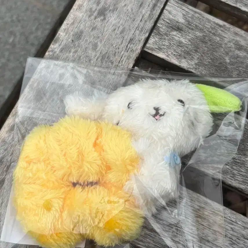 엔시티위시 료 룐룐 위시돌 스크런치 콘서트 엠디