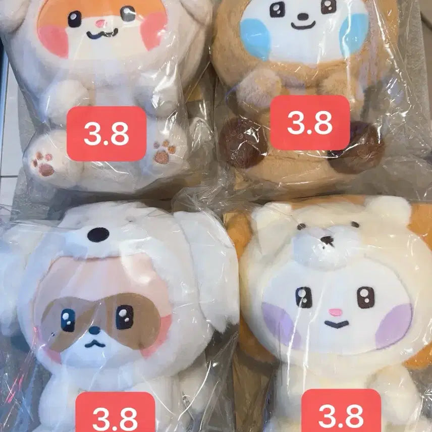 제베원 ZB1 라인프렌즈 제로니 팝업 인형 포카 양도