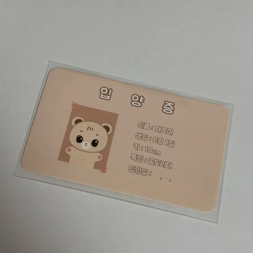 르세라핌 김채원 인형 채꼬미 판매합니다!