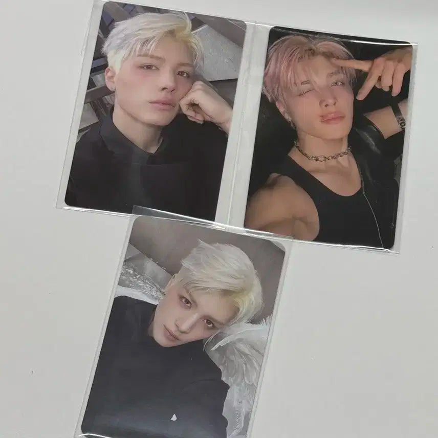 백투라 마키 포카 양도 판매 미공포 특전 위버스