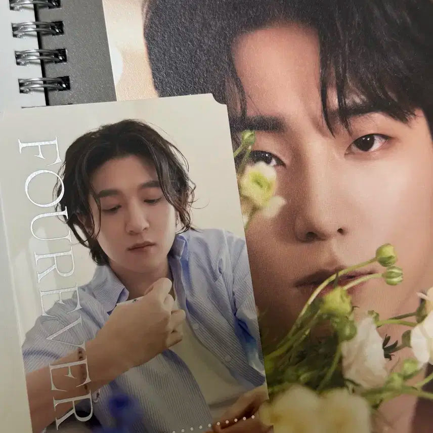 데이식스 포에버 앨범 (그린)