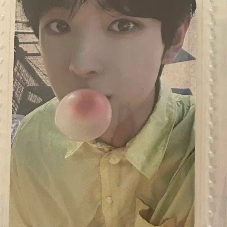 엔시티 위시 유우시 팝팝