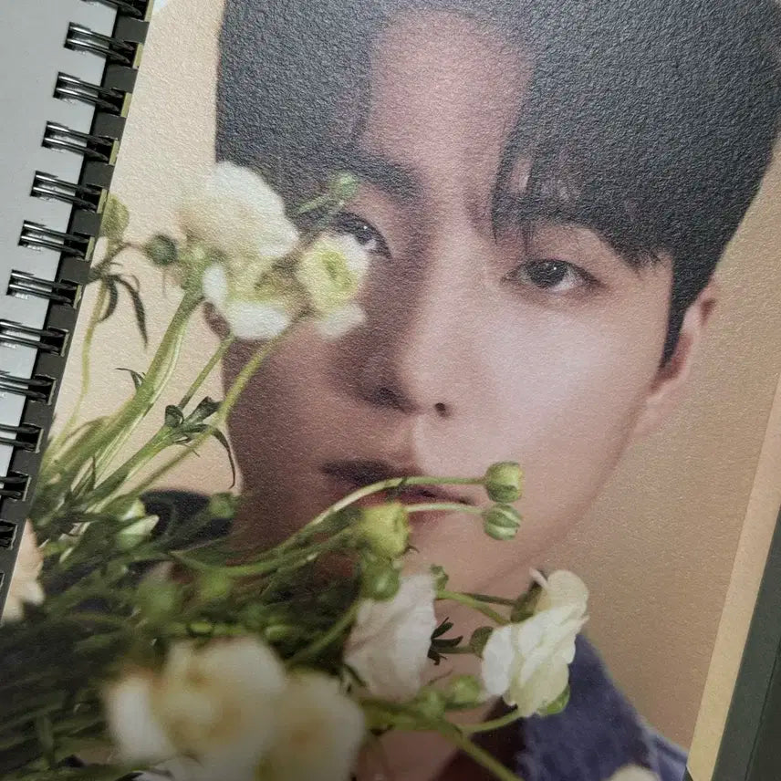 데이식스 포에버 앨범 (그린) -포토북+cd