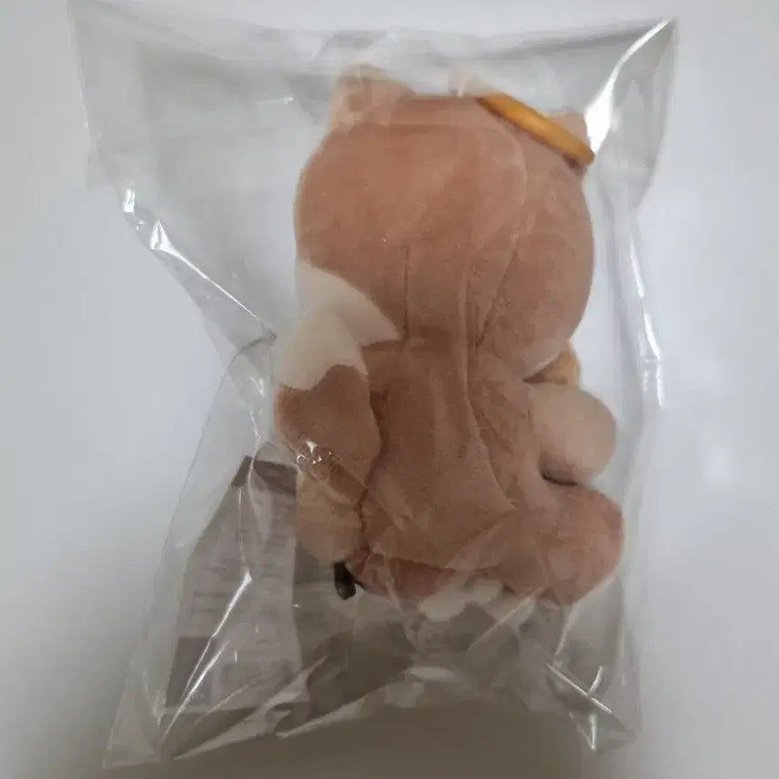 데이식스 마그넷 플러시 케 미개봉