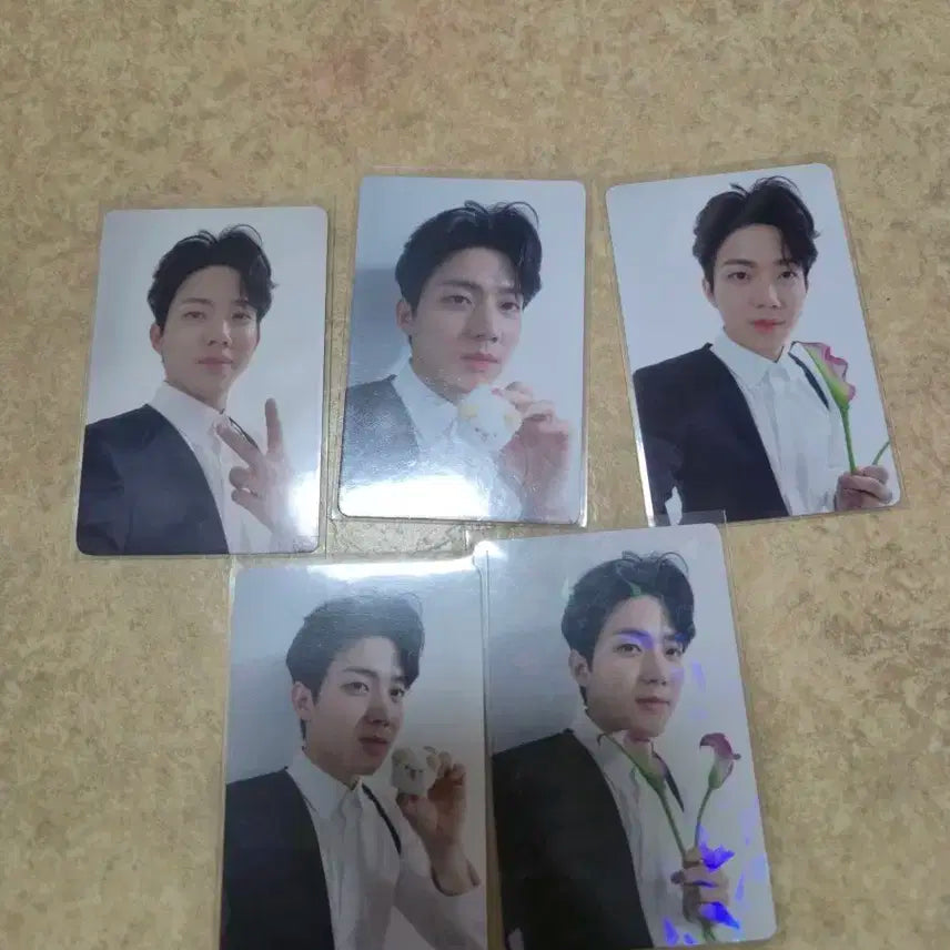 데이식스 도운 포카