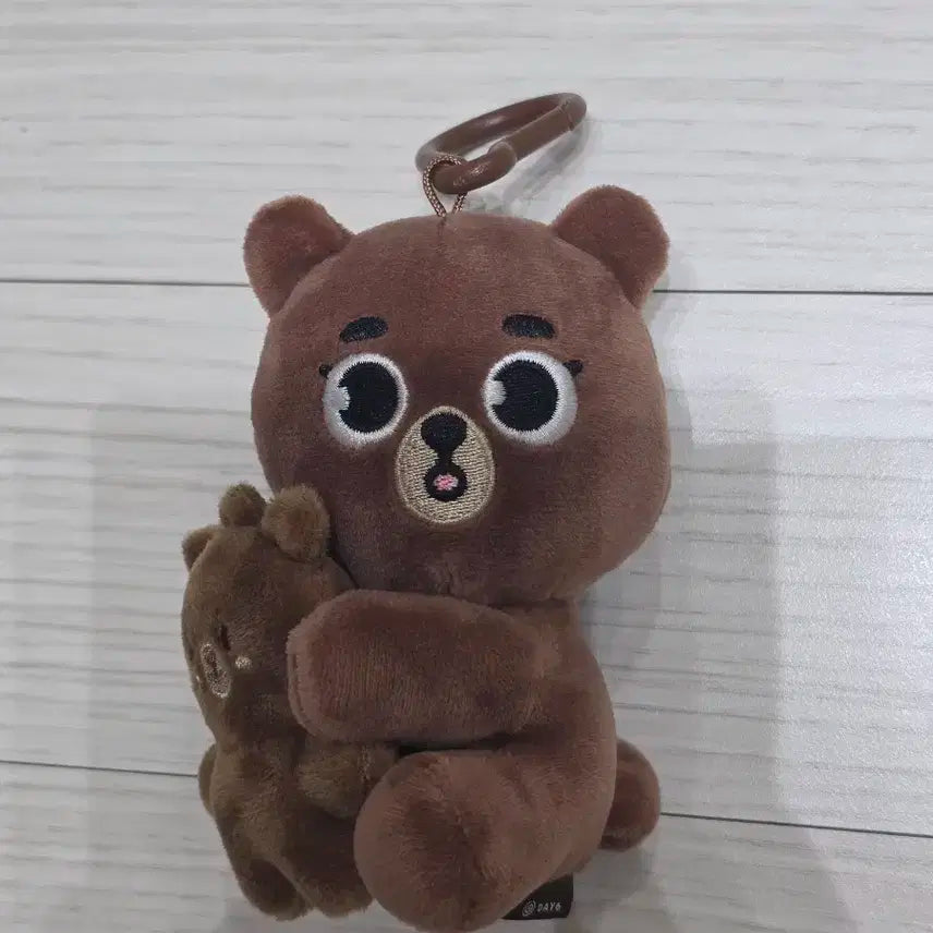 데이식스 마그넷 플러시 세트 방