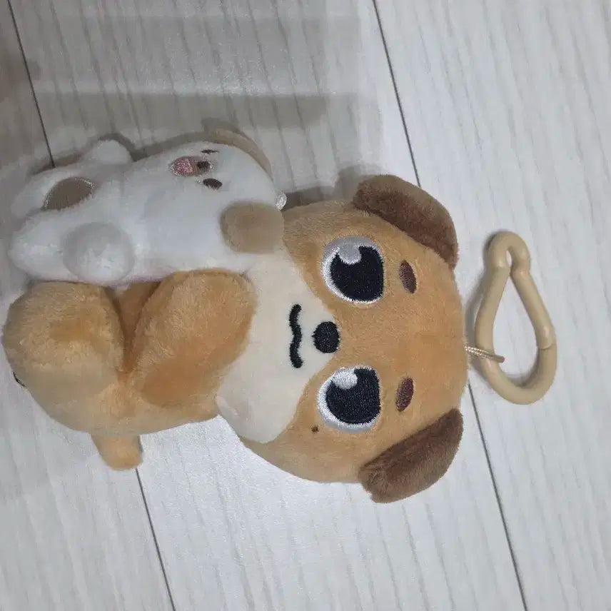 데이식스 데니멀즈 마그넷 플러시 세트 돈