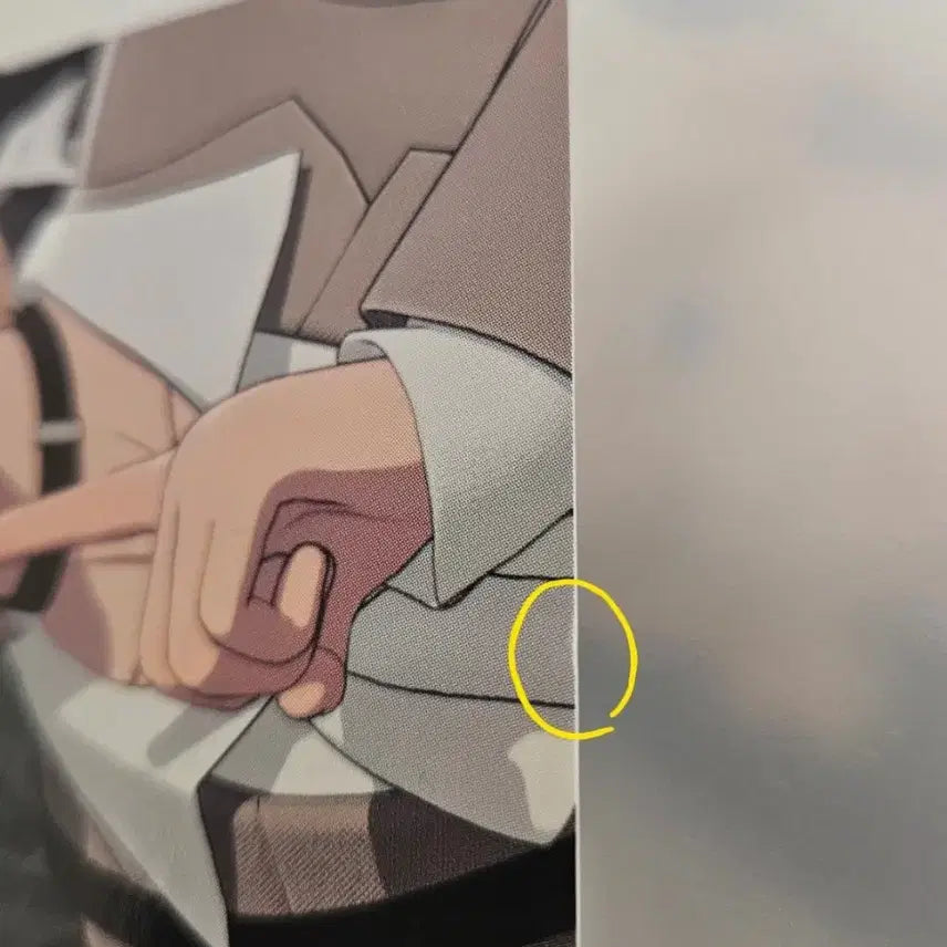 플레이브 노아 포카 일괄