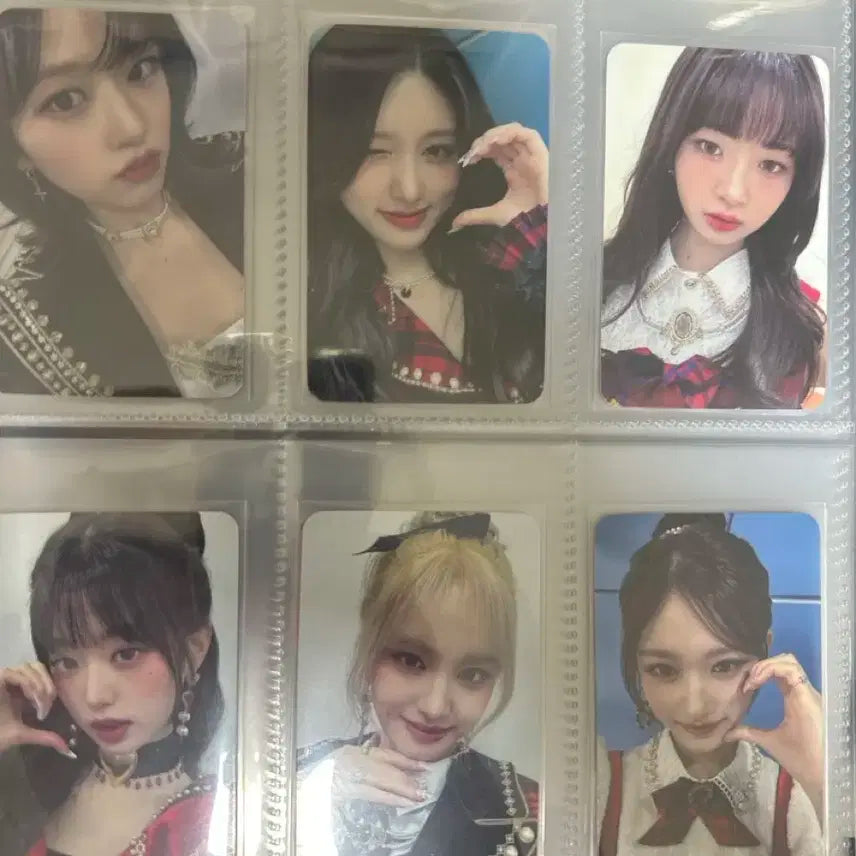 아이브 태국 사웨 일괄 판매