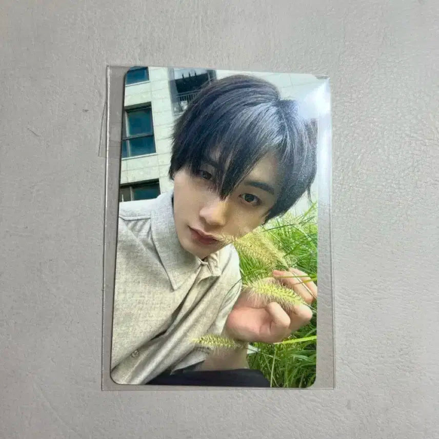 보넥도 쇼케이스 특전 포카 태산 양도 보이넥스트도어 디액션