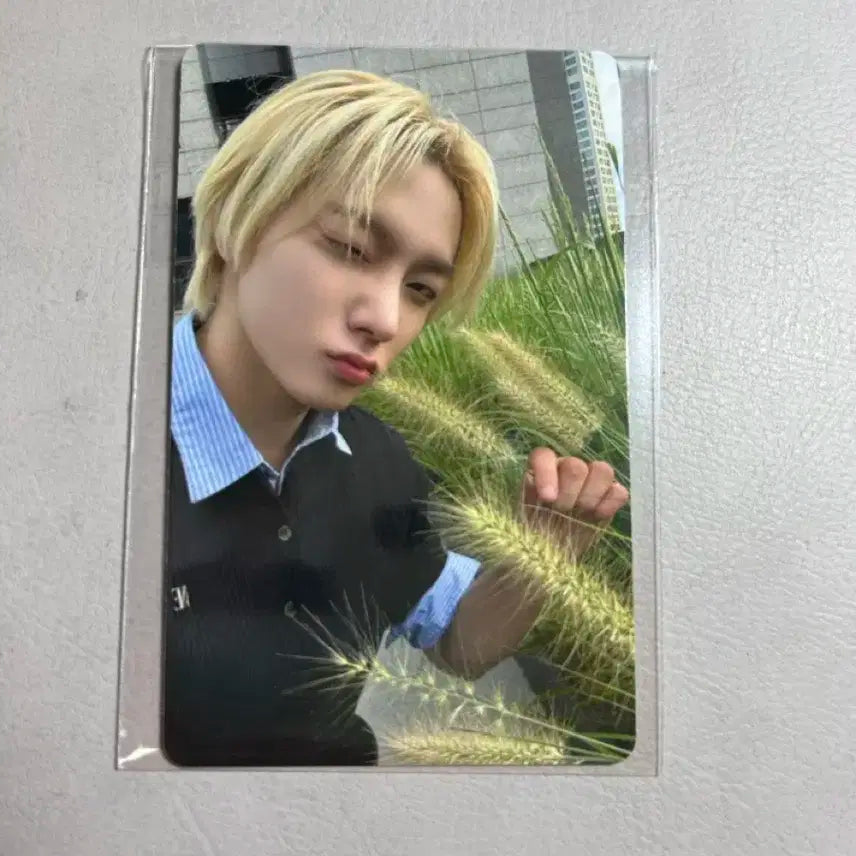 보넥도 쇼케이스 특전 포카 성호 양도 보이넥스트도어 디액션