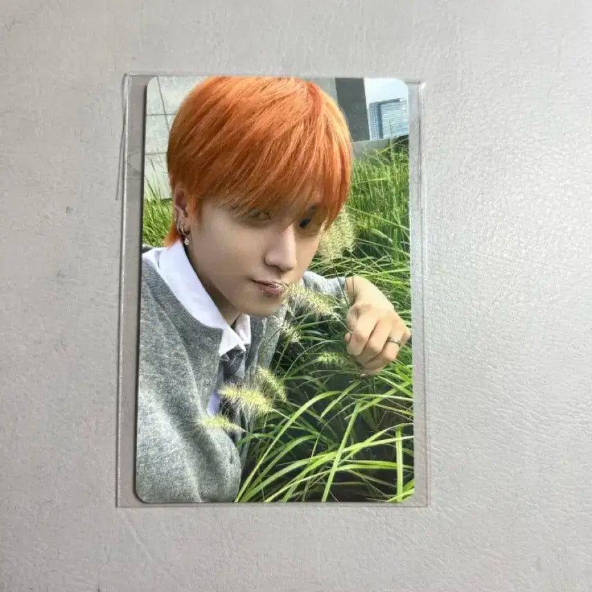 보넥도 쇼케이스 특전 포카 리우 양도 보이넥스트도어 디액션