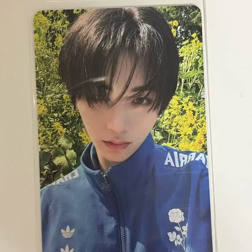 보넥도태산 앨포 프레임버전포카 양도 카톡씨유뮤브럭드위버스