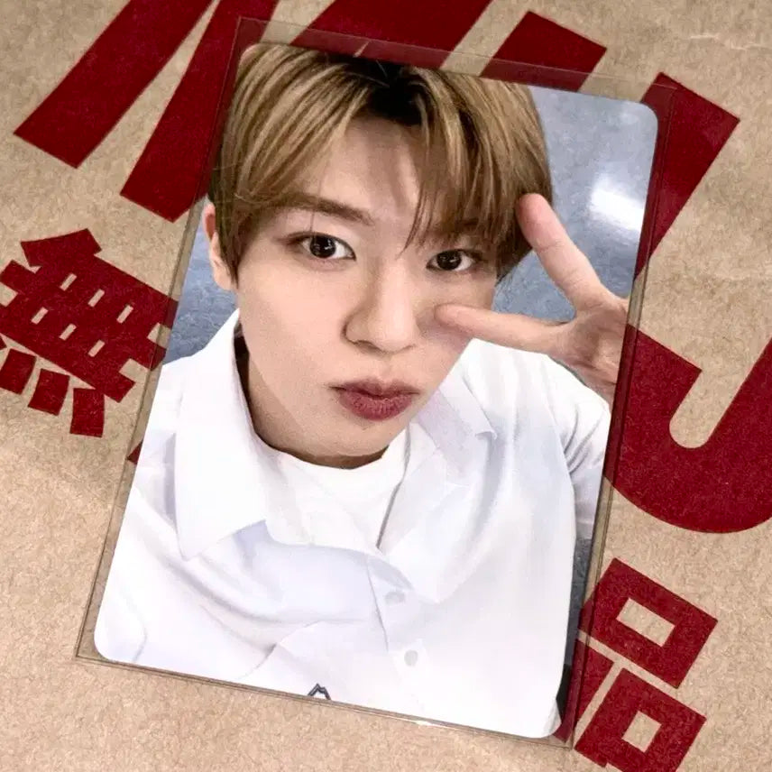 엔시티 위시 스쿨 오브 위시 시온 포카