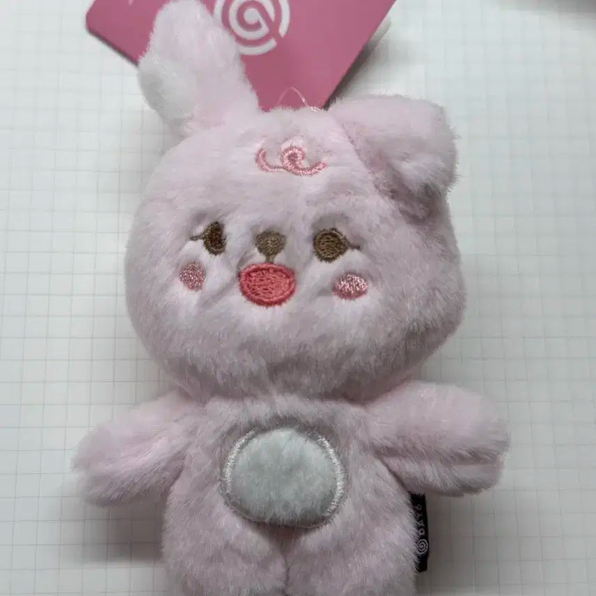 데이식스 쁘멀필