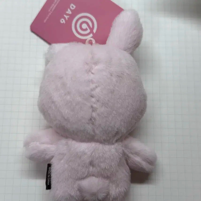 데이식스 쁘멀필