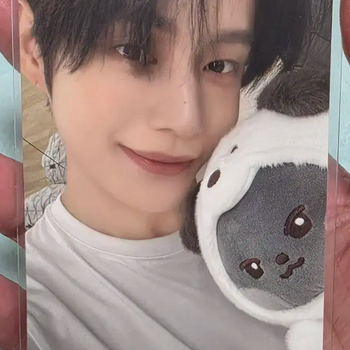 제베원 김지웅포카 제로니팝업포카 양도