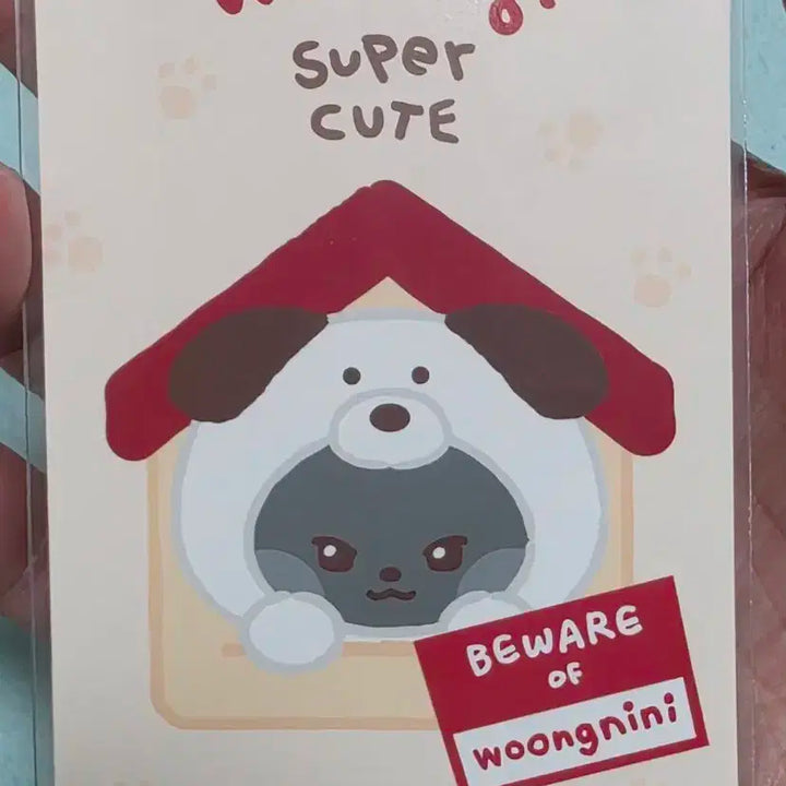 제베원 김지웅포카 제로니팝업포카 양도