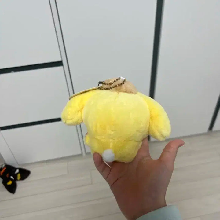 우사기&폼폼푸린