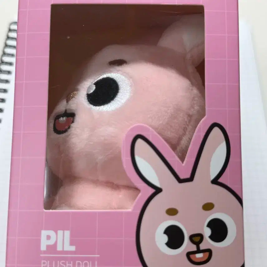 데이식스 데니멀즈 24필끼